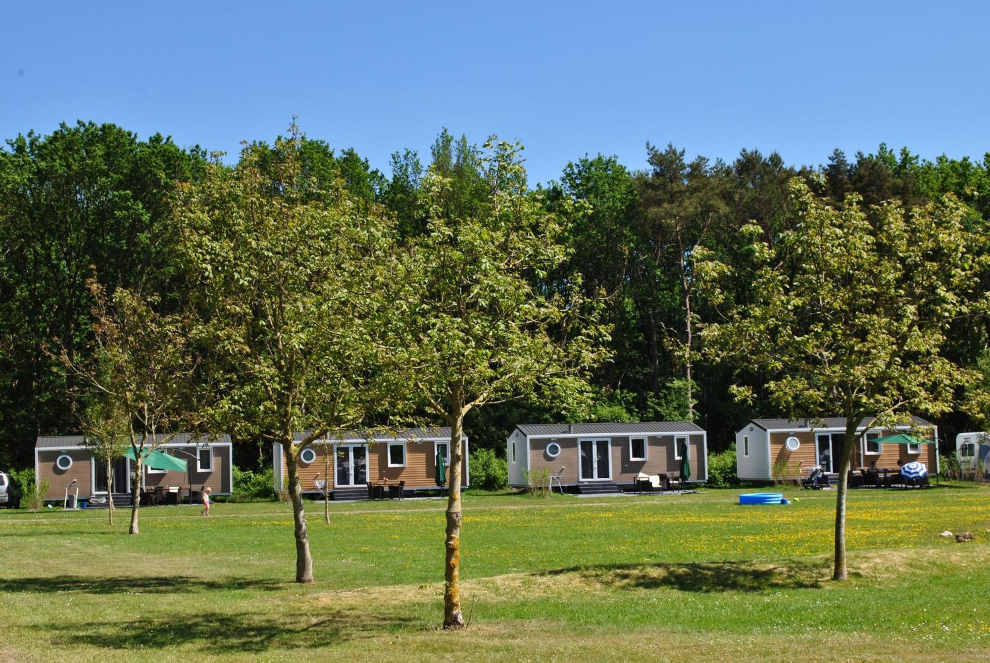 Camping De Reeenwissel Hoogersmilde ภายนอก รูปภาพ