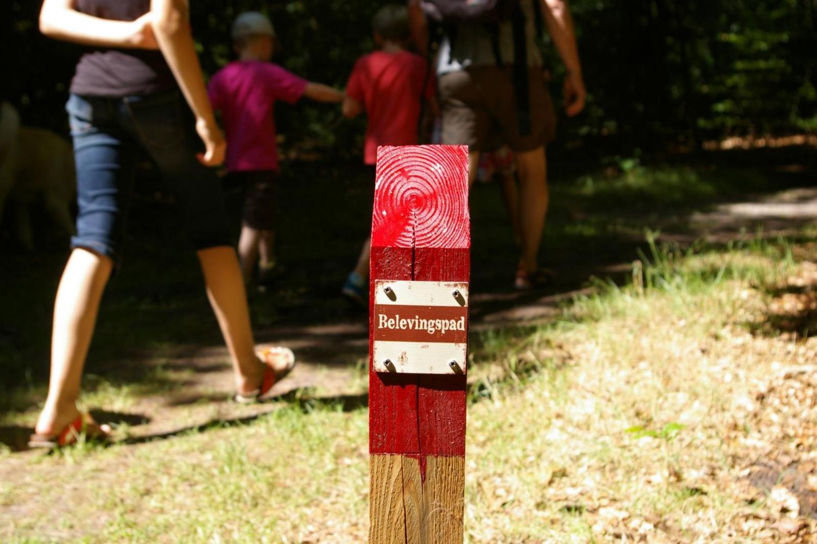 Camping De Reeenwissel Hoogersmilde ภายนอก รูปภาพ
