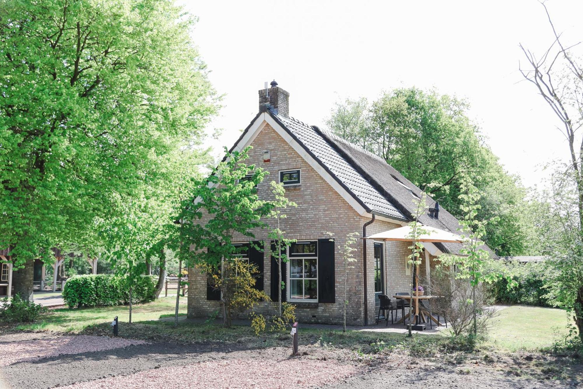 Camping De Reeenwissel Hoogersmilde ภายนอก รูปภาพ